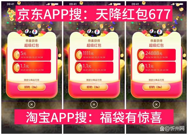 0d338744ebf81a4cad4e6bb46d248457252da669.jpeg@f_auto