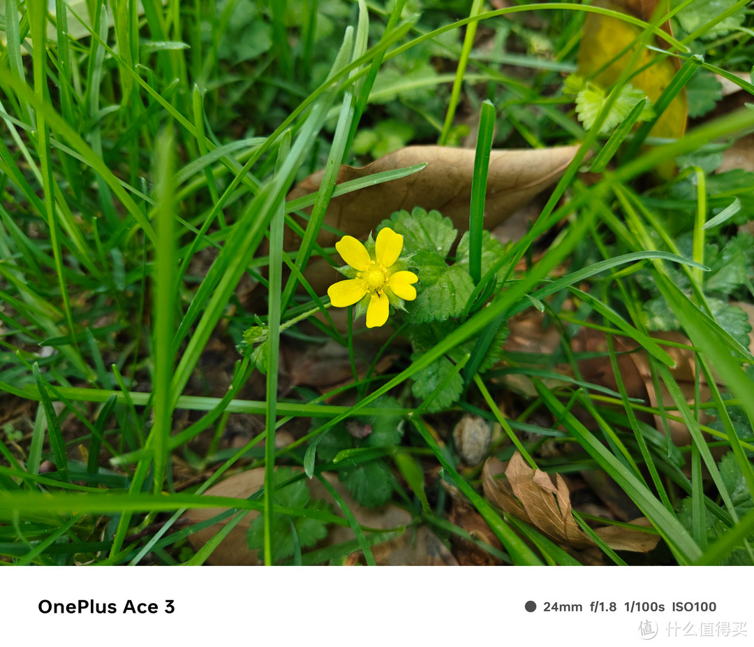 663b06f9ace8e4180.jpg_e1080