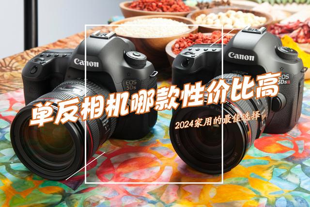 2024最建议买10款手机（家用单反相机哪款性价比高？2024最建议买这五款：实用性强适合新手）家用单反相机哪款性价比高？2024最建议买这五款：实用性强适合新手