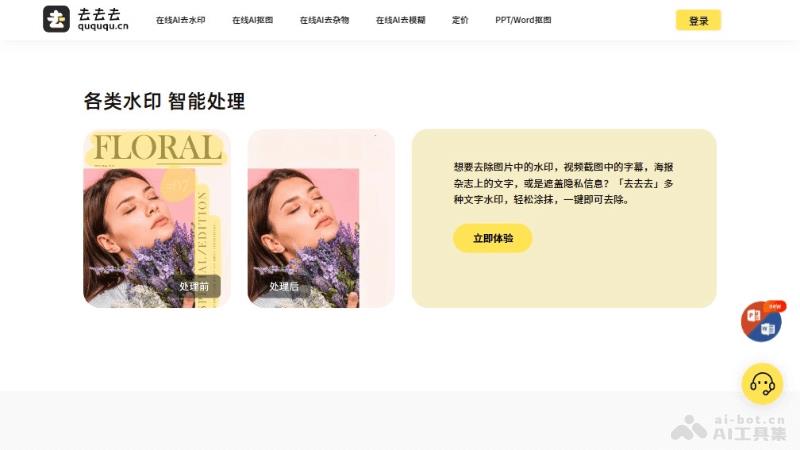 11个免费的AI去水印软件和工具,图片和视频在线去水印