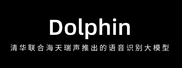 Dolphin – 清华联合海天瑞声推出的语音识别大模型，支持多种语言和方言的识别